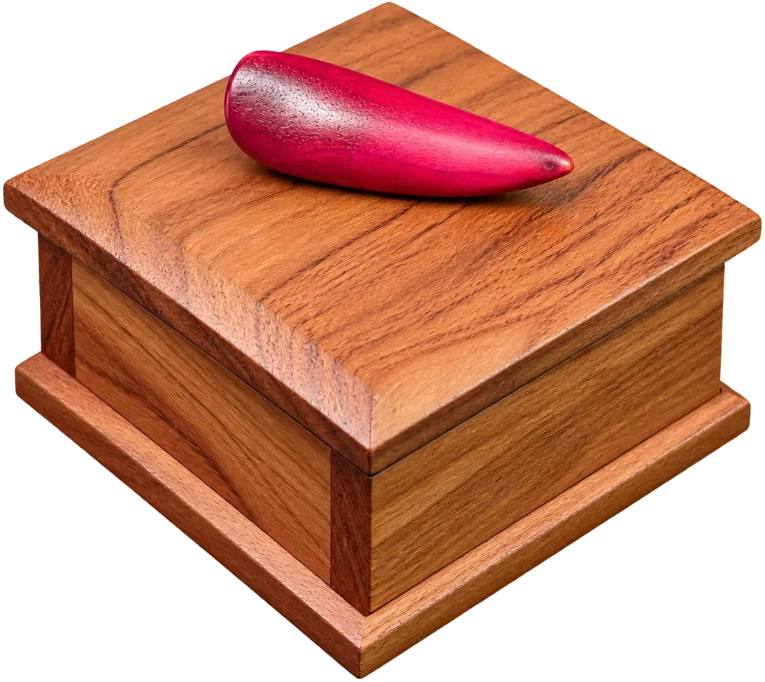 Haven. A square lidded box in warm brown wood with a wide base. A sculpted red pod handle lies across the lid.